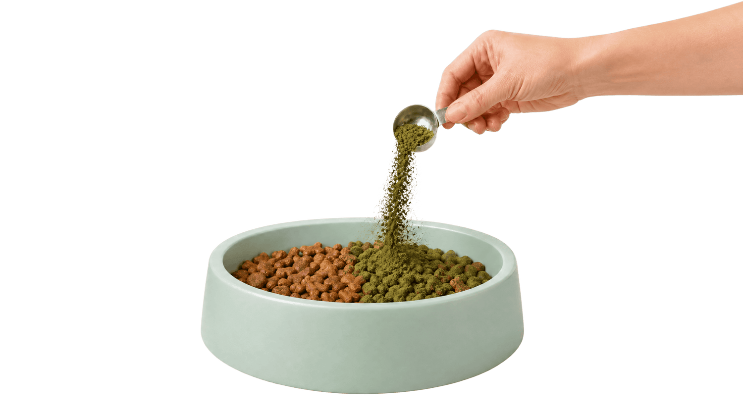 Kibble bowl, half plain and half topped with K9-8