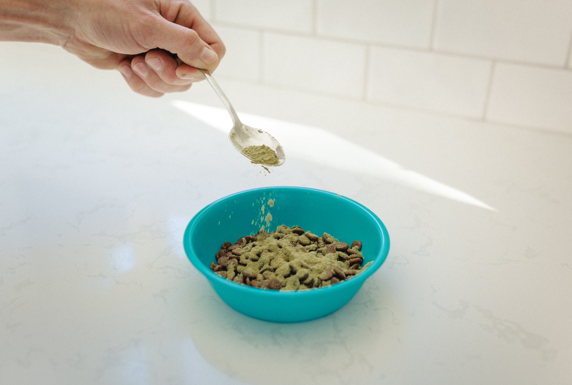 K9-8 Silicone Bowl